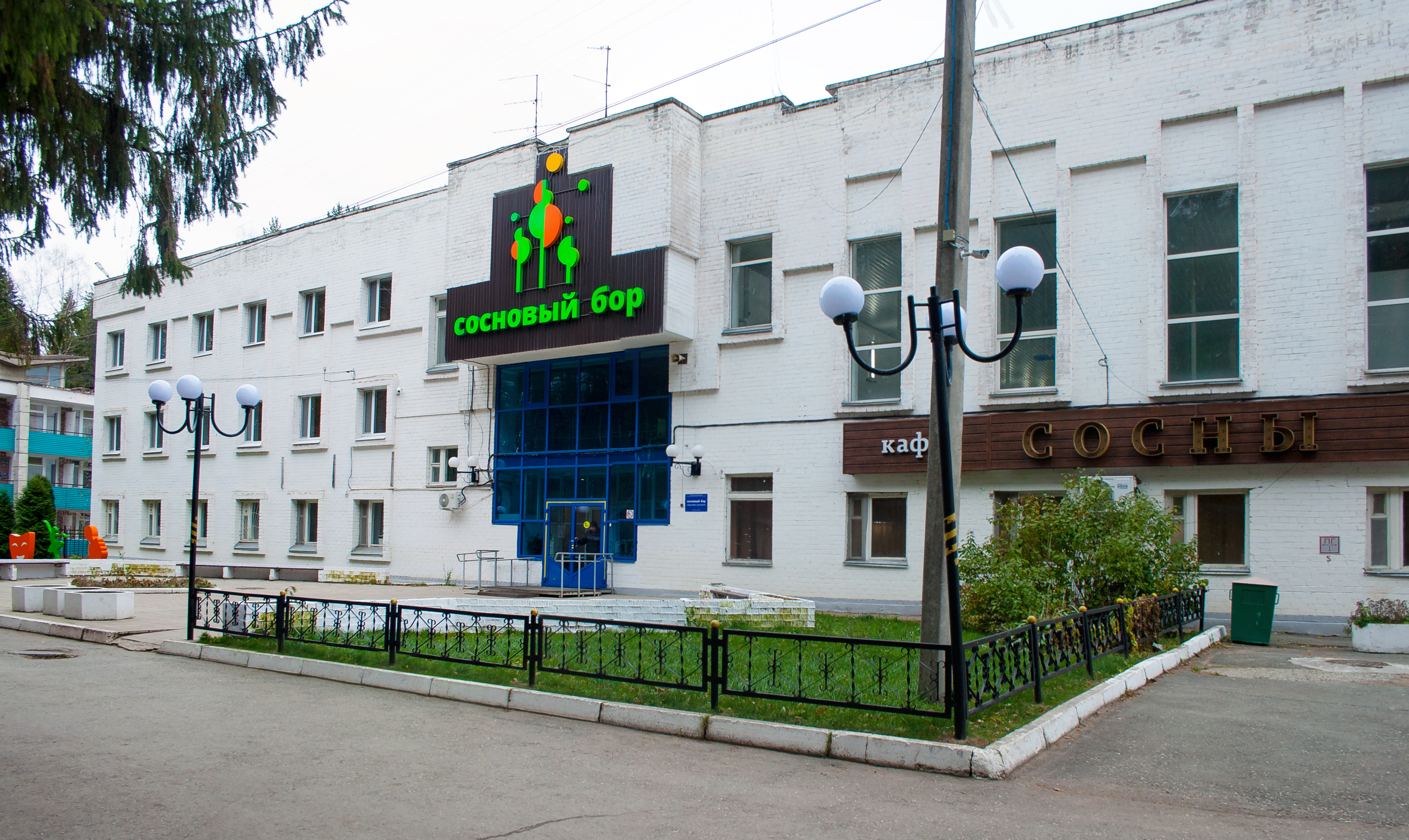 Фото Сосновый бор