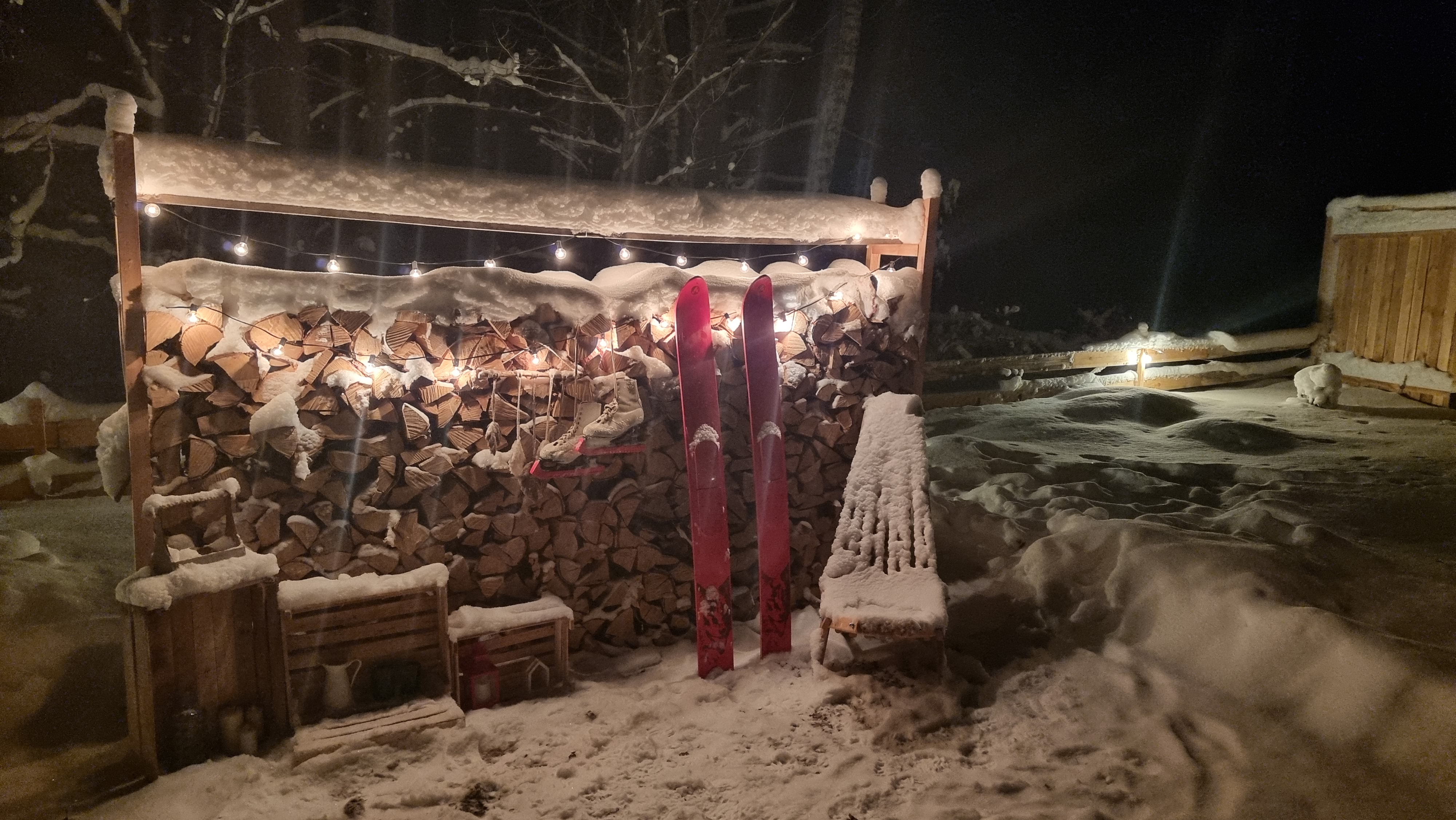 Фото На опушке