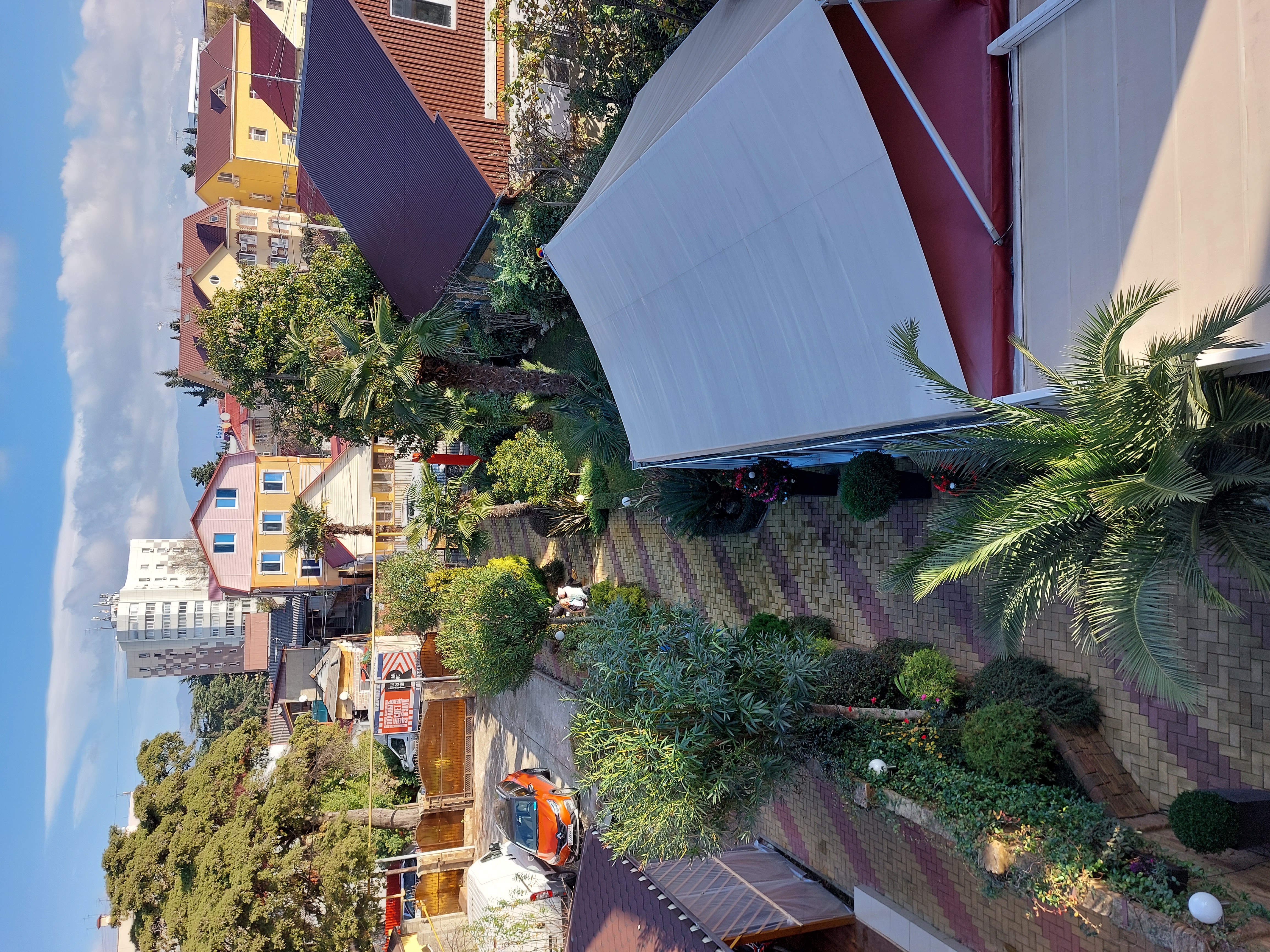 Фото Дельфин