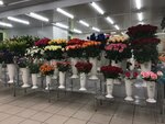 Cvetopttorg (Asafyeva Street, 5к1), floristeria