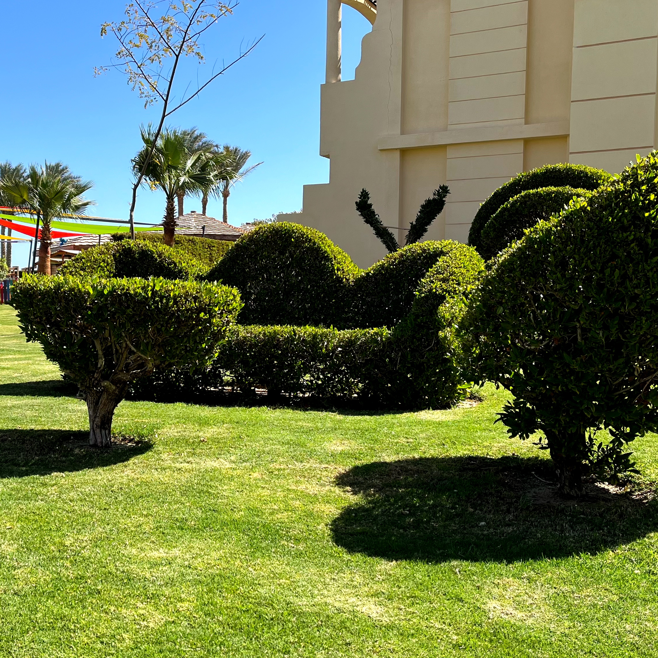 Фото Tropitel Sahl Hasheesh