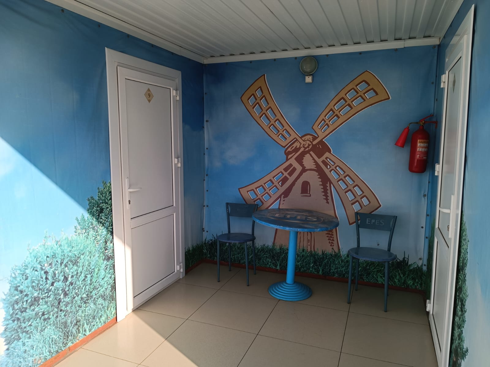 Фото Лазурное Яровое