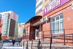 Pokrovsky House (Dmitriya Martynova Street, 43) ، شركة الإدارة