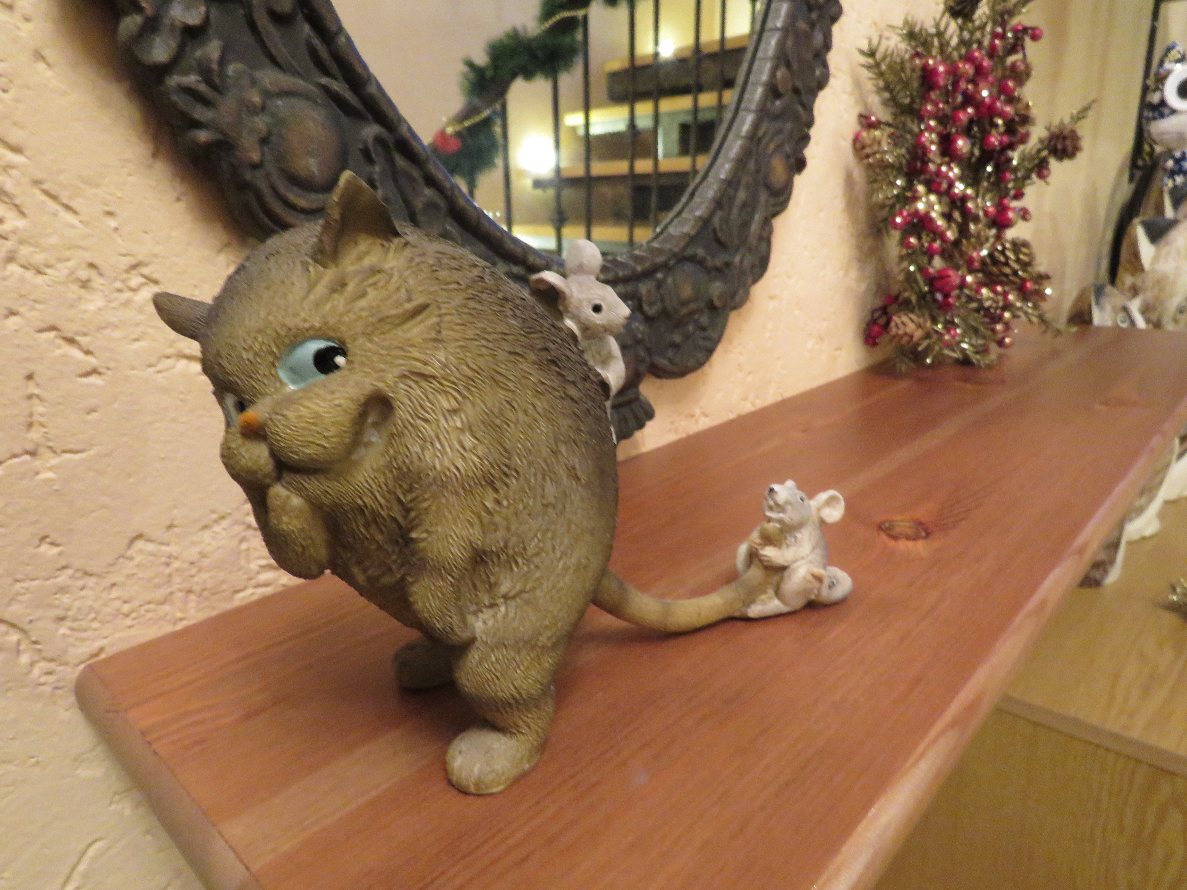 Фото Кот и кошка