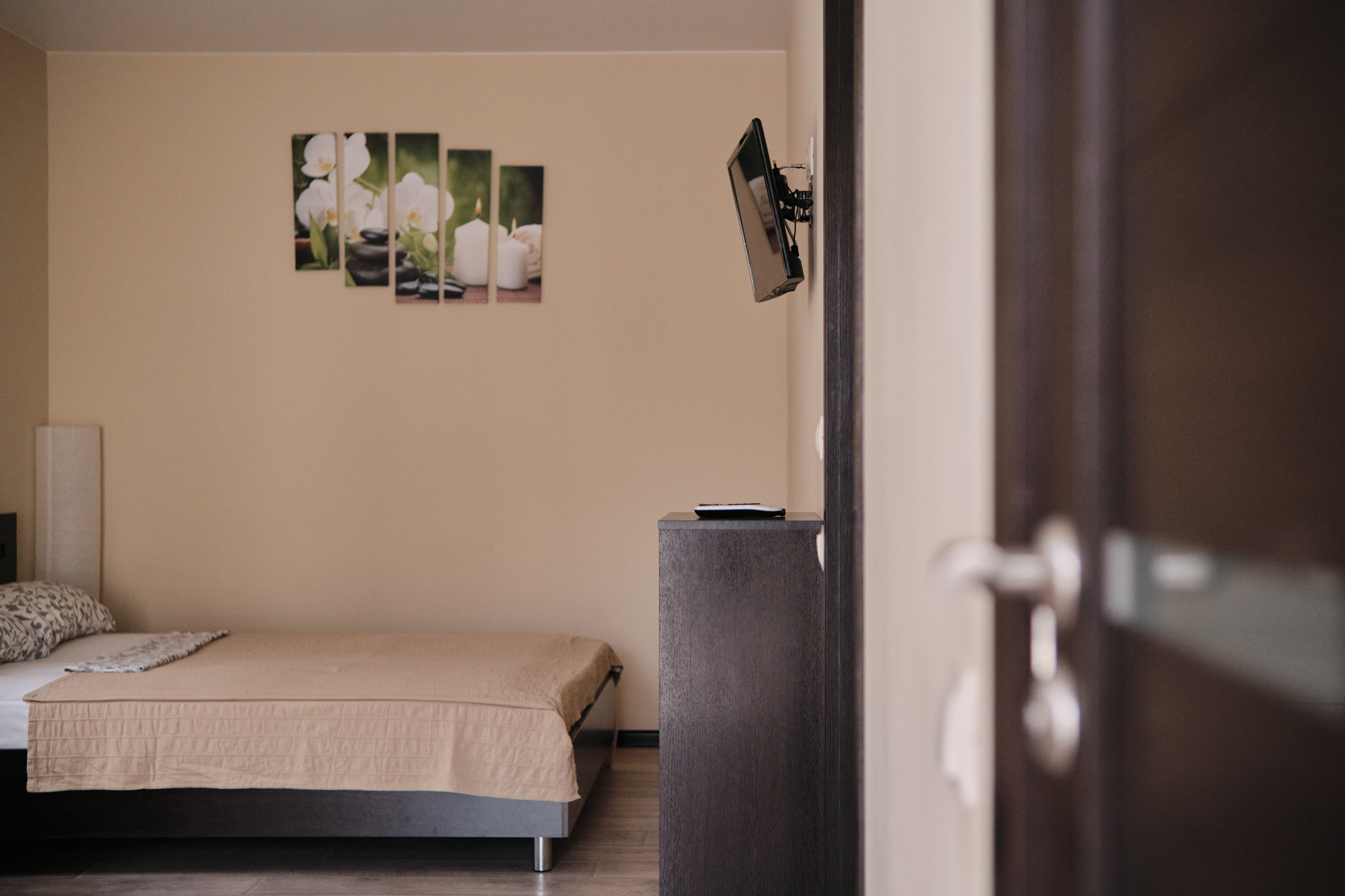 Фото Солнечная орхидея