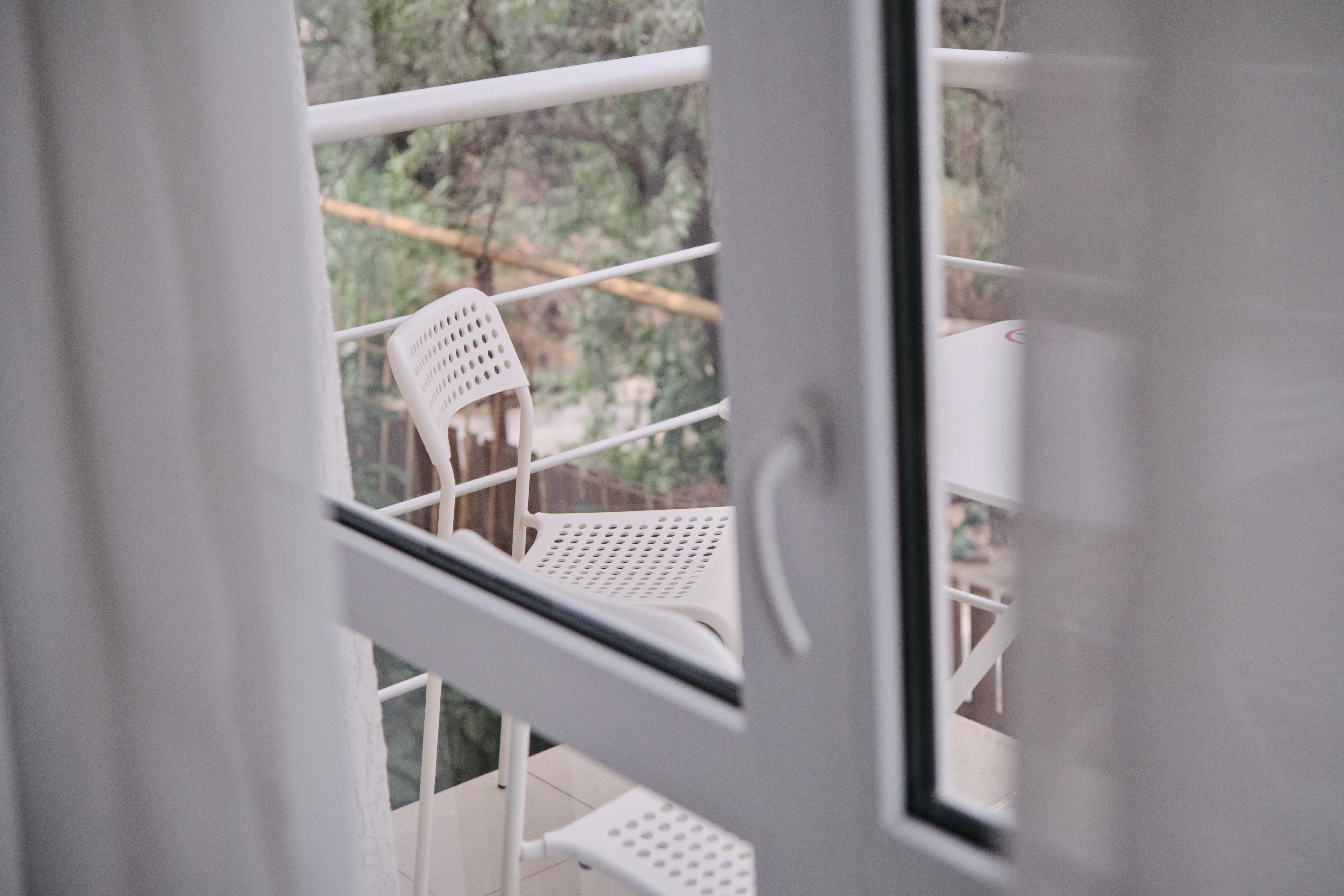 Фото Солнечная орхидея