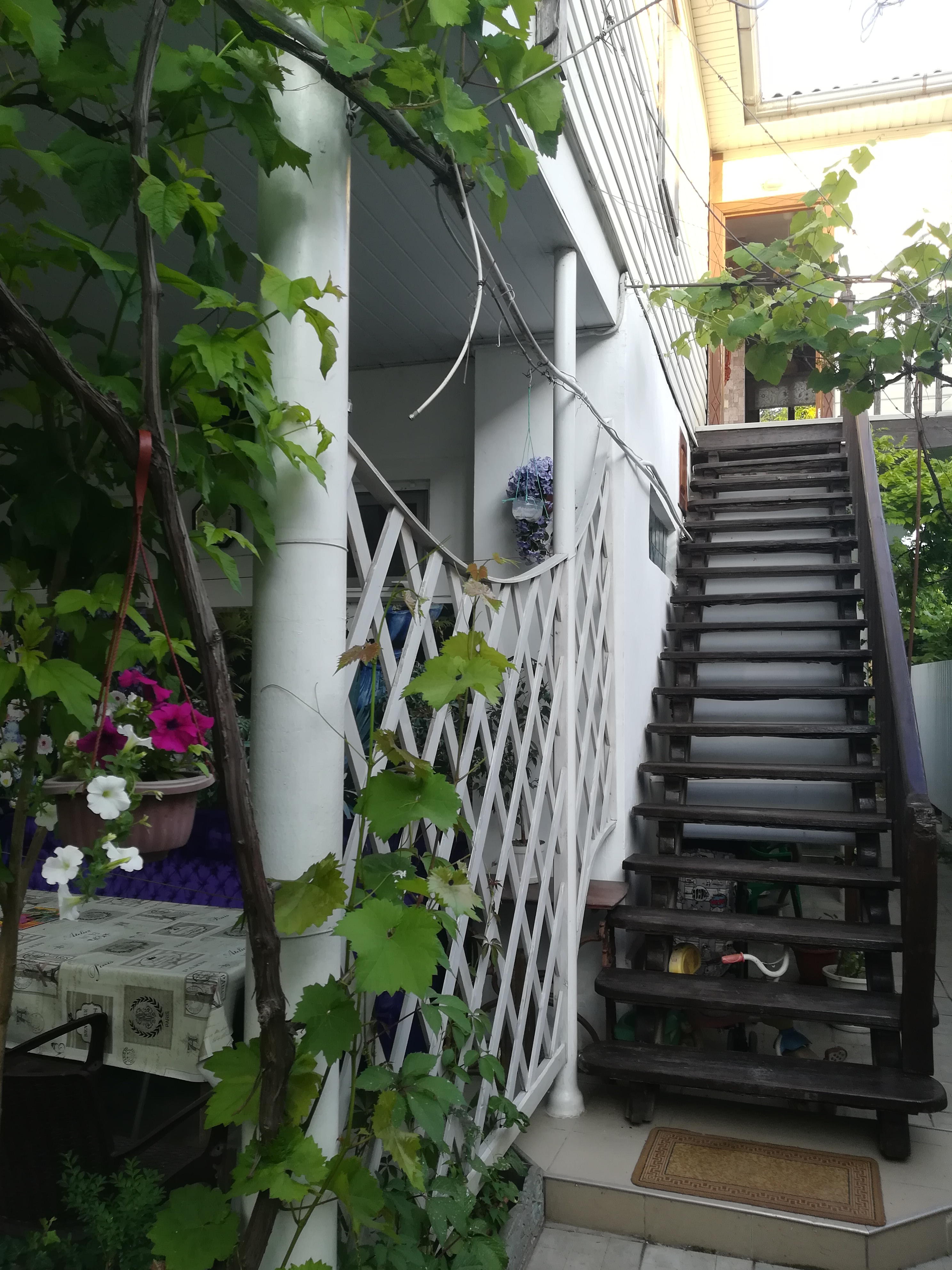 Фото Уютный