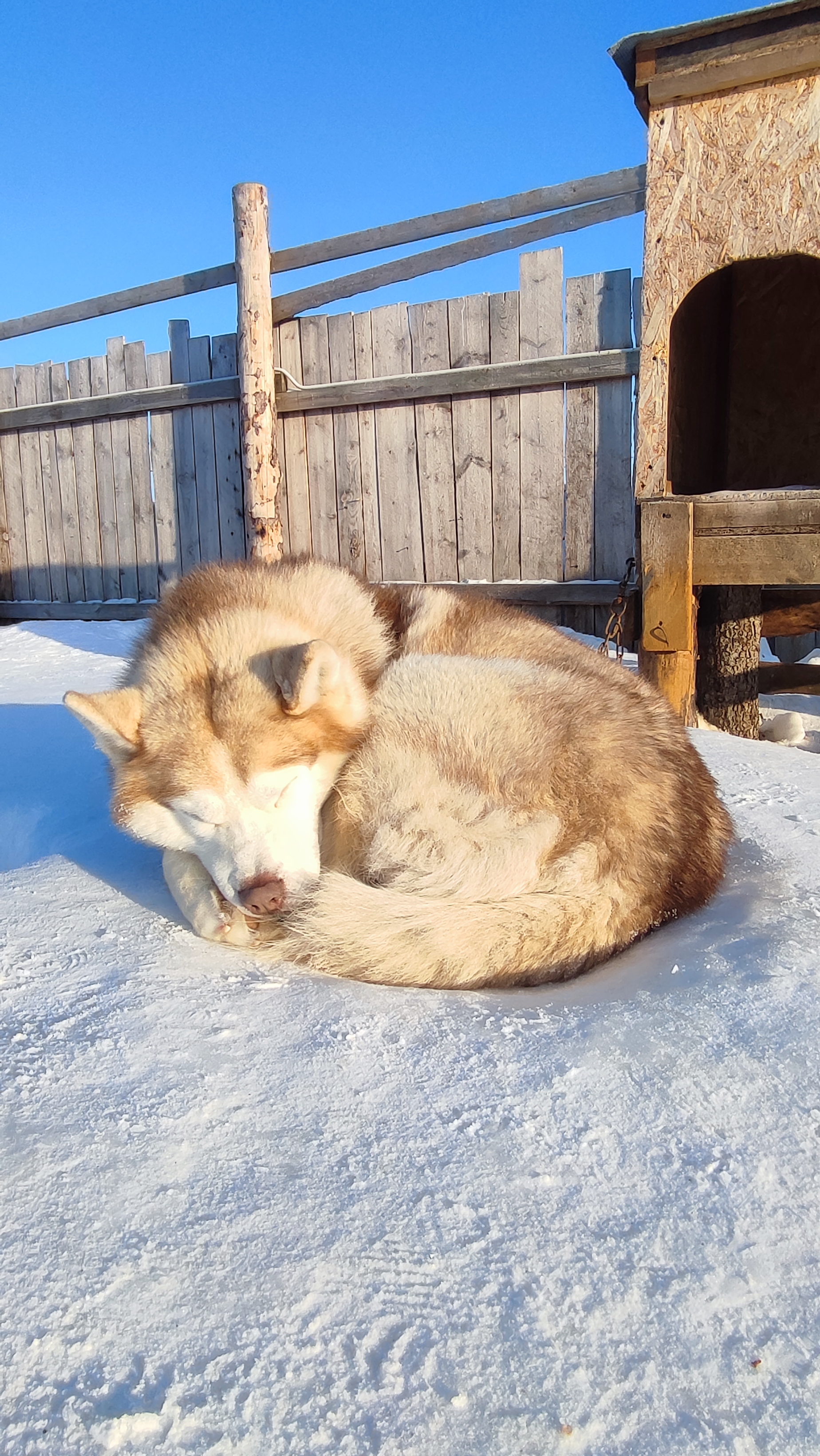 Фото Сияние севера
