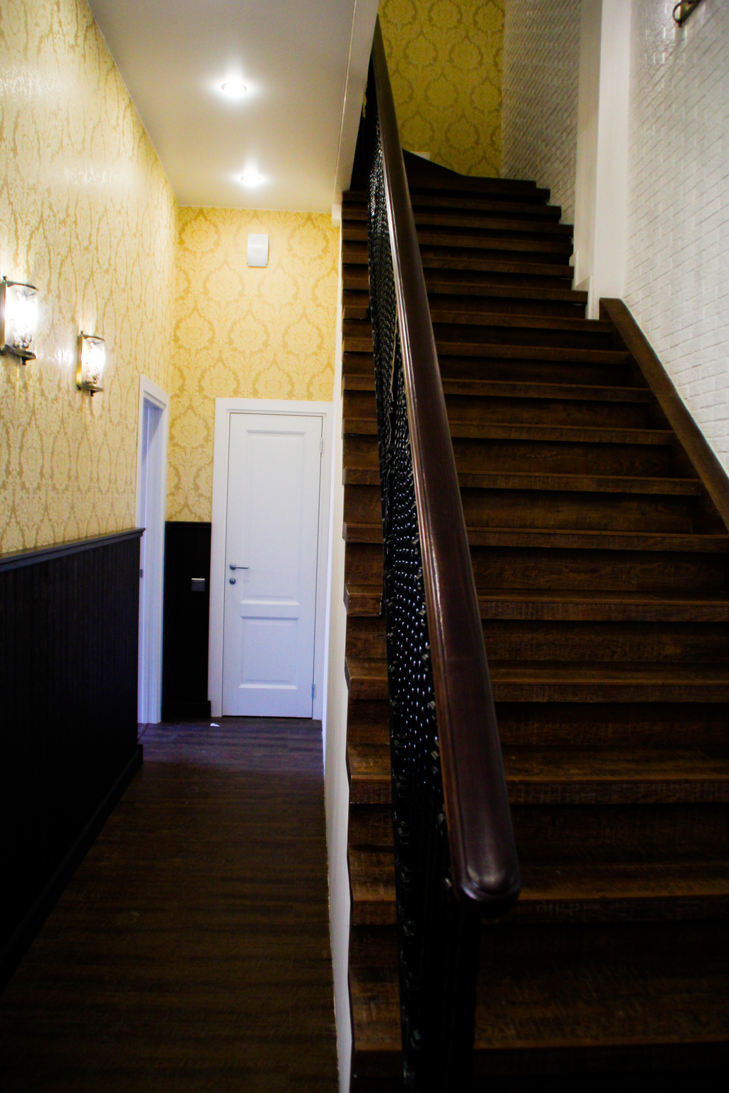 Фото Аристократ