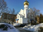 Tserkov vo imya Prepodobnomuchenitsy Velikoy Knyagini Yelisavety (Tashkentskaya Street, 159Г), iglesia ortodoxa