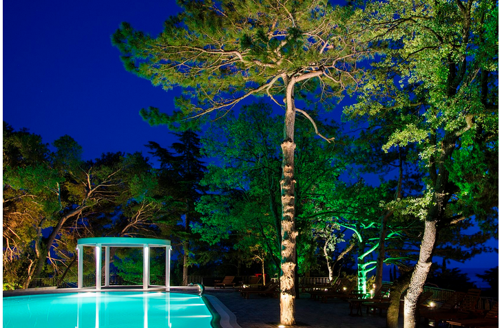 Фото Сосновая роща