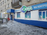 Stolitsa (mikrorayon imeni Gorkogo, ulitsa Gagarina, 9), alcoholic beverages