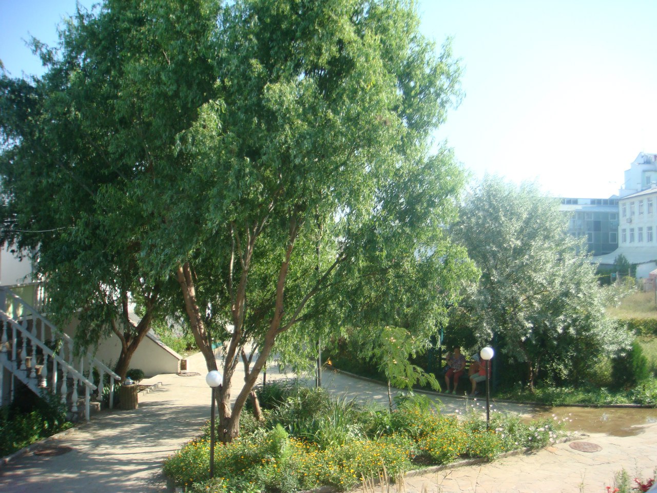 Фото Любоморье