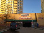 Shinomontazh (Akademika Anokhina Street, 56), tire service
