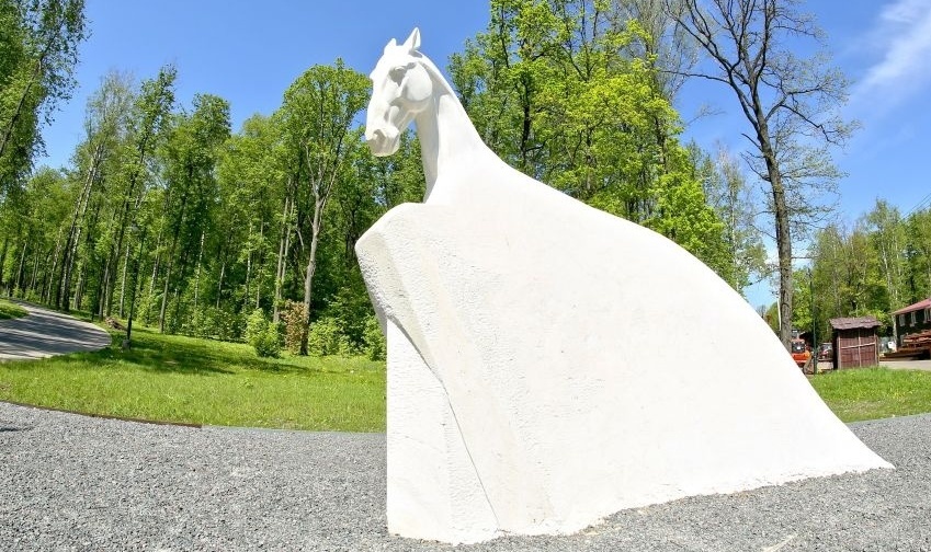 Фото Отрада