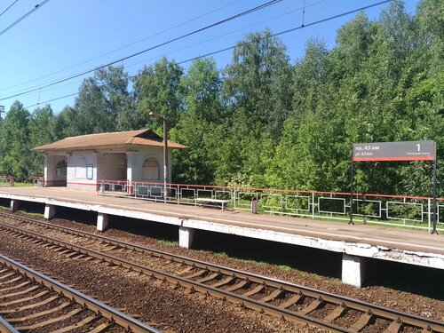 Железнодорожная станция 43 км, Москва и Московская область, фото