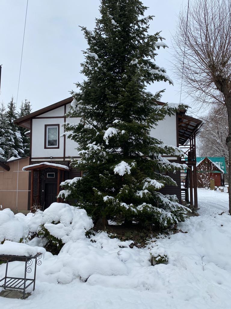 Фото Колибри