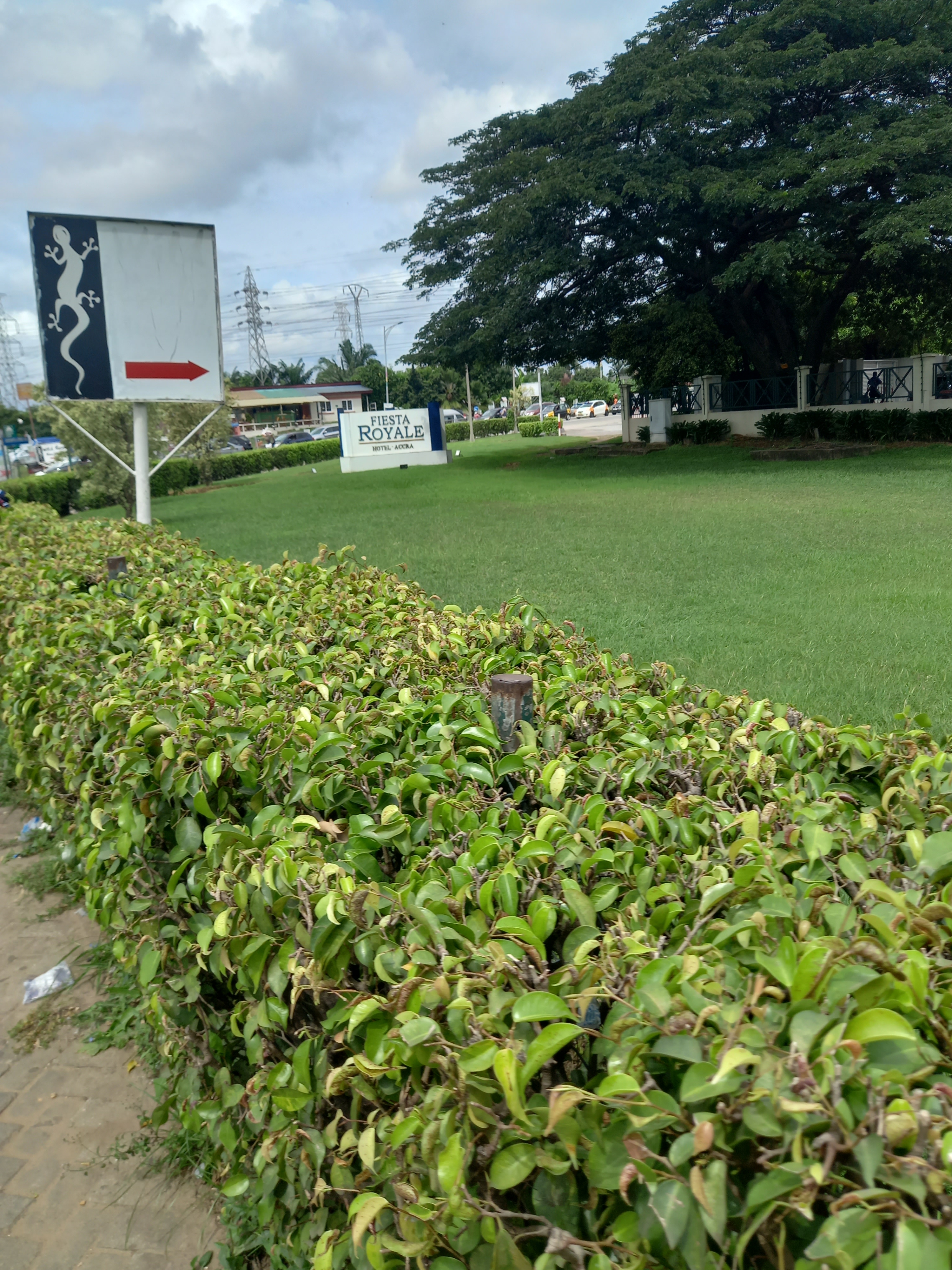 Фото Fiesta Royale