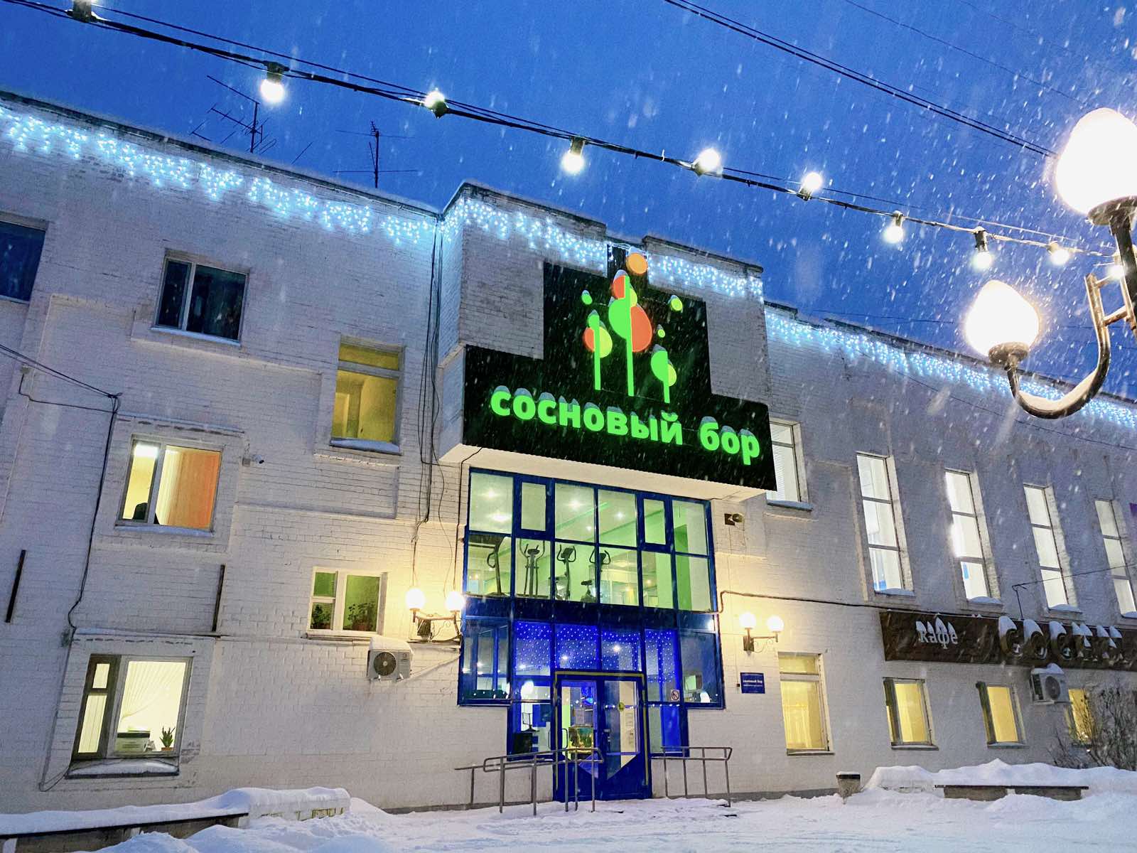 Фото Сосновый бор