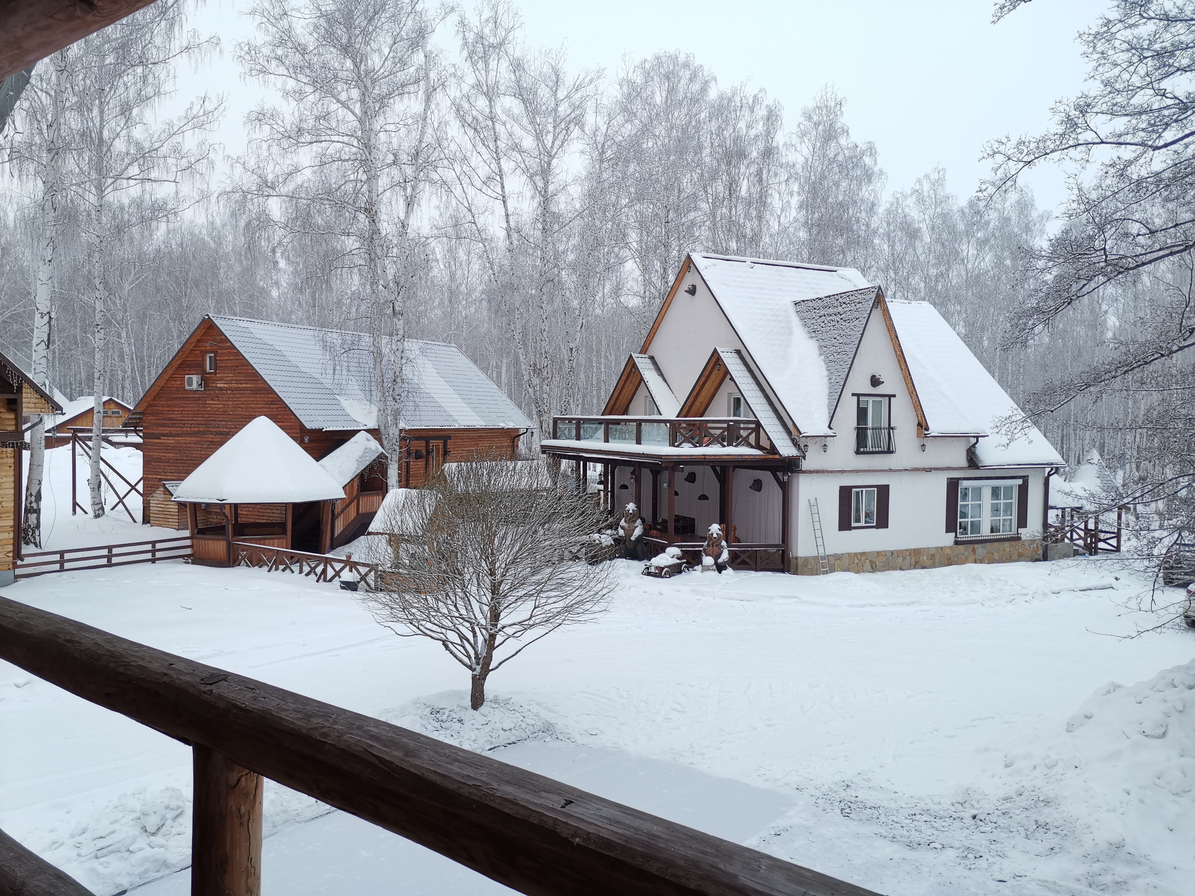 Фото Медвежий угол