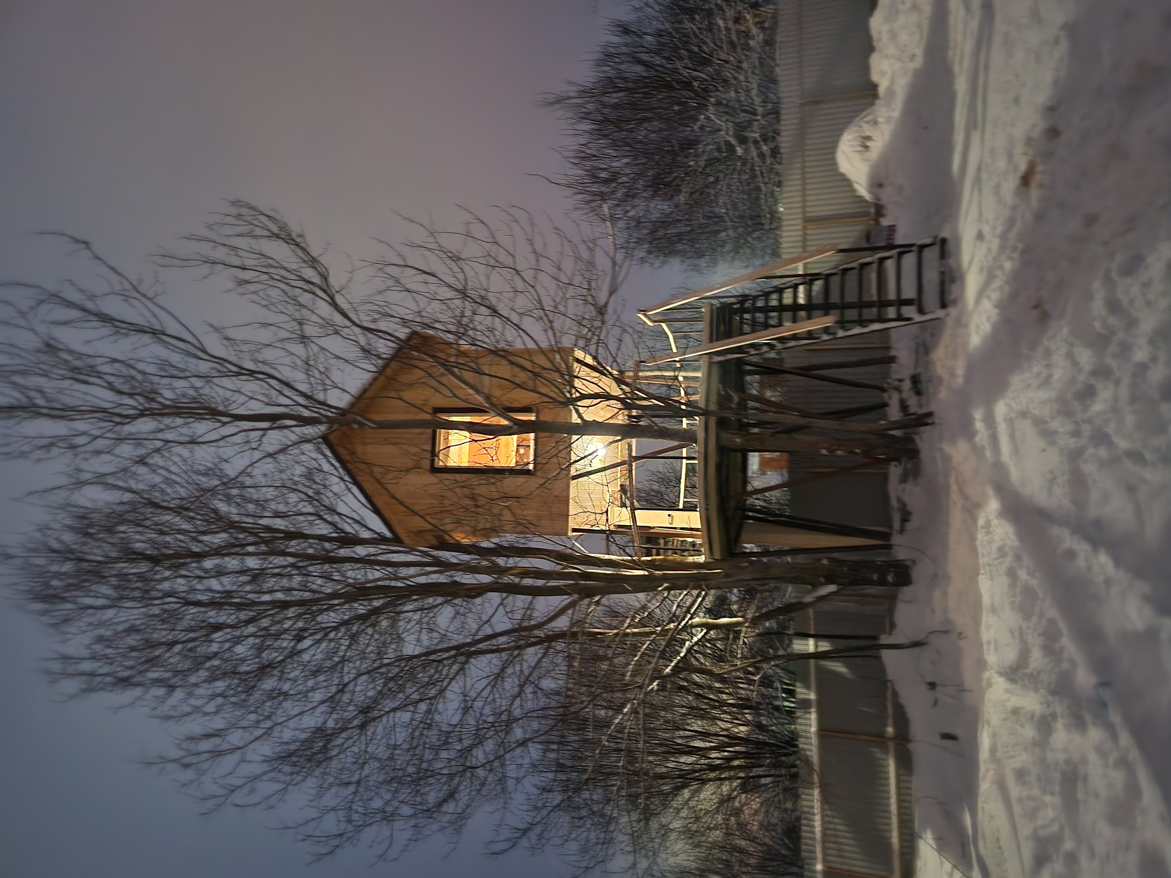 Фото Светлая роща