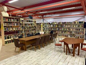 Библиотека (Chulkovo Village, 208), library