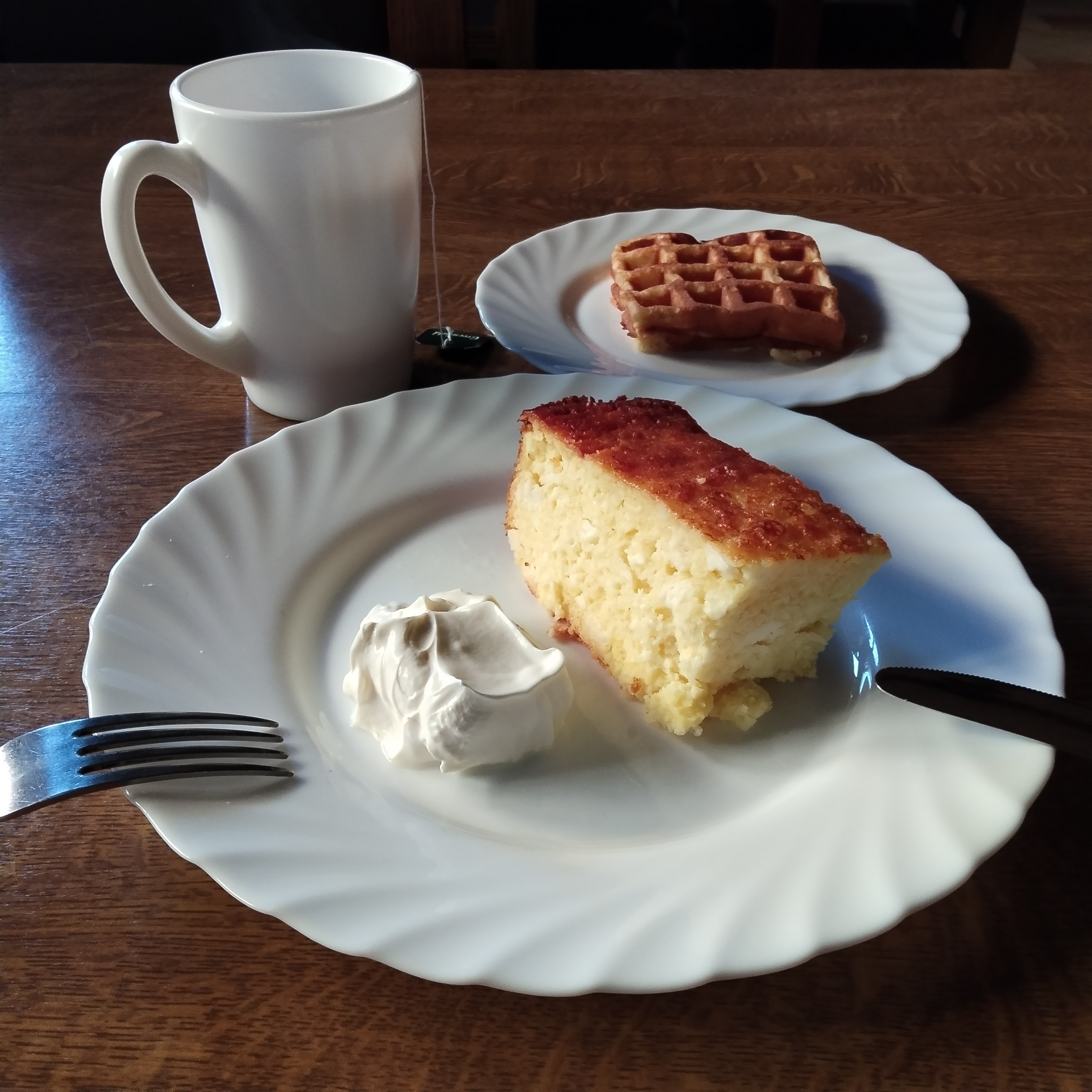 Фото Наутилус