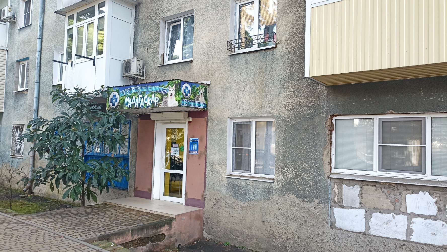 Цап лап ул максима горького 10 фото