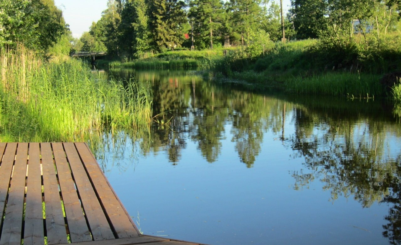 Фото Кобона