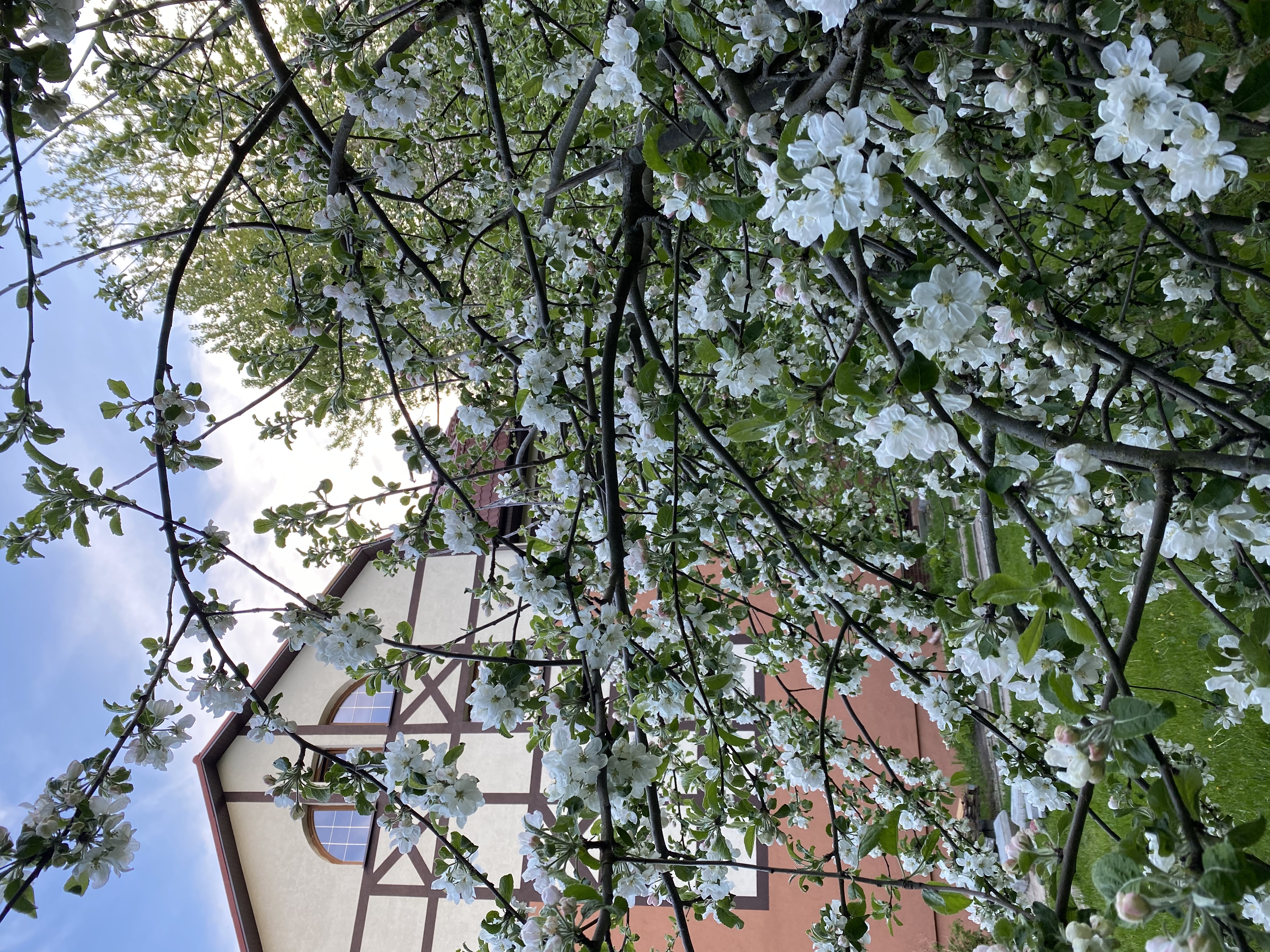 Фото Гестия