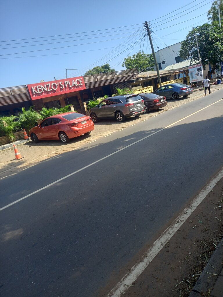 Travel agency Multimate Logistics Ltd, Earth, photo