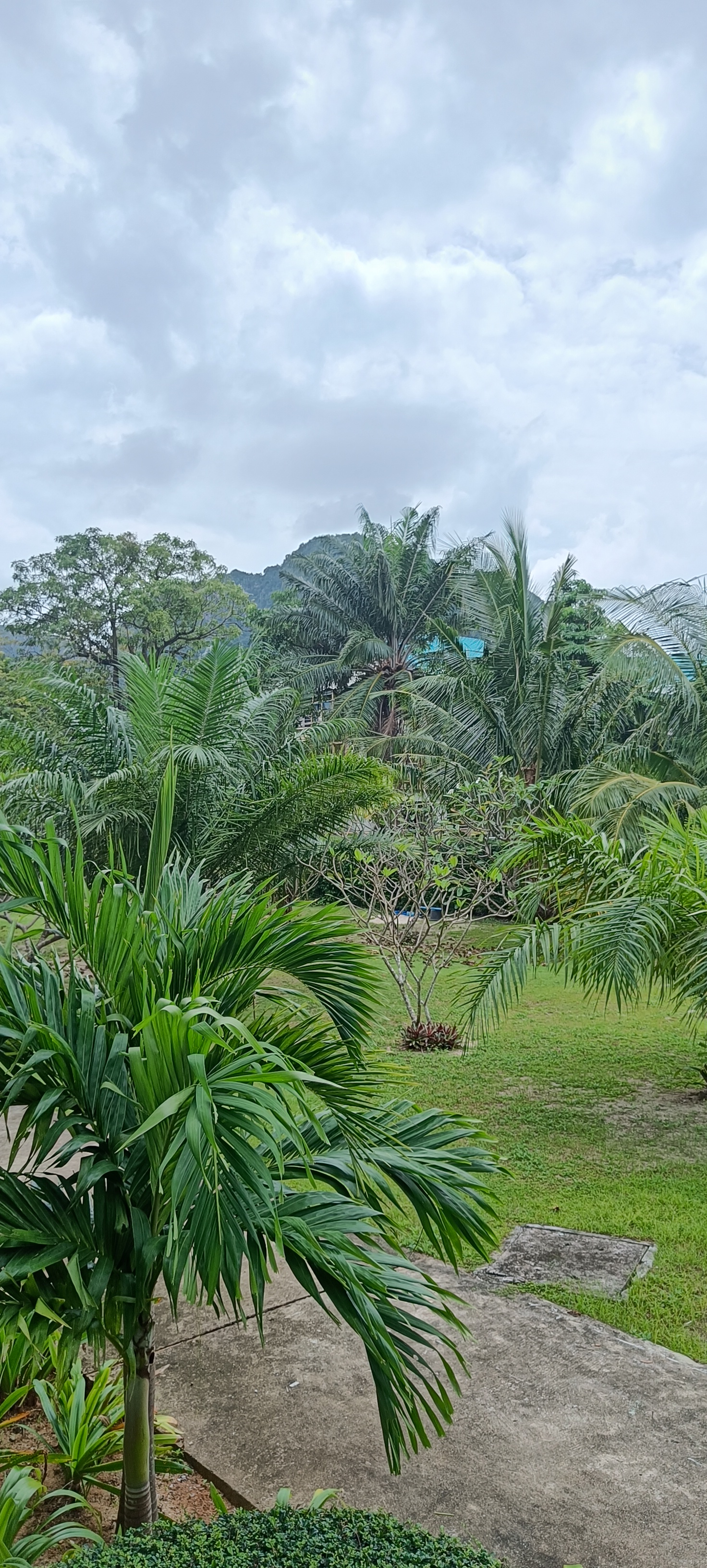 Фото Pp Charlie Beach Resort