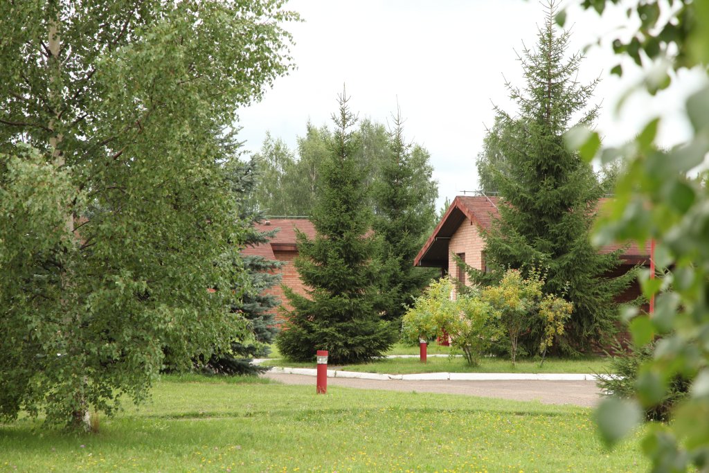 Фото Сусанин парк