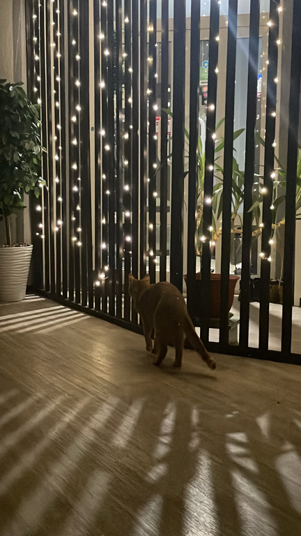 Фото В гостях у бабуsи