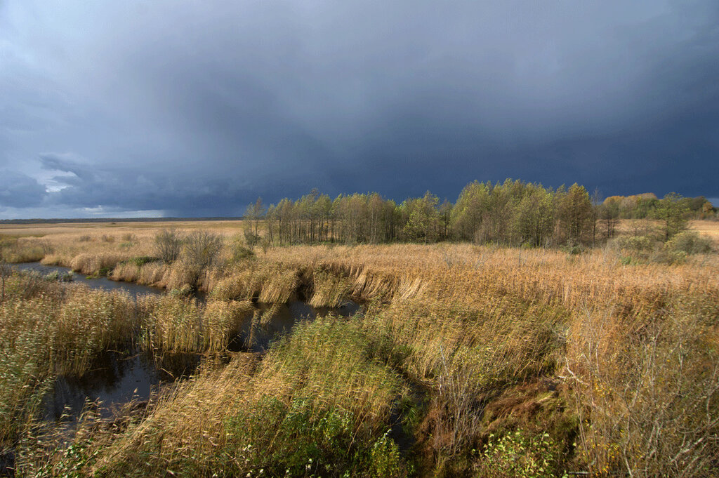 Водный заповедник СПБ