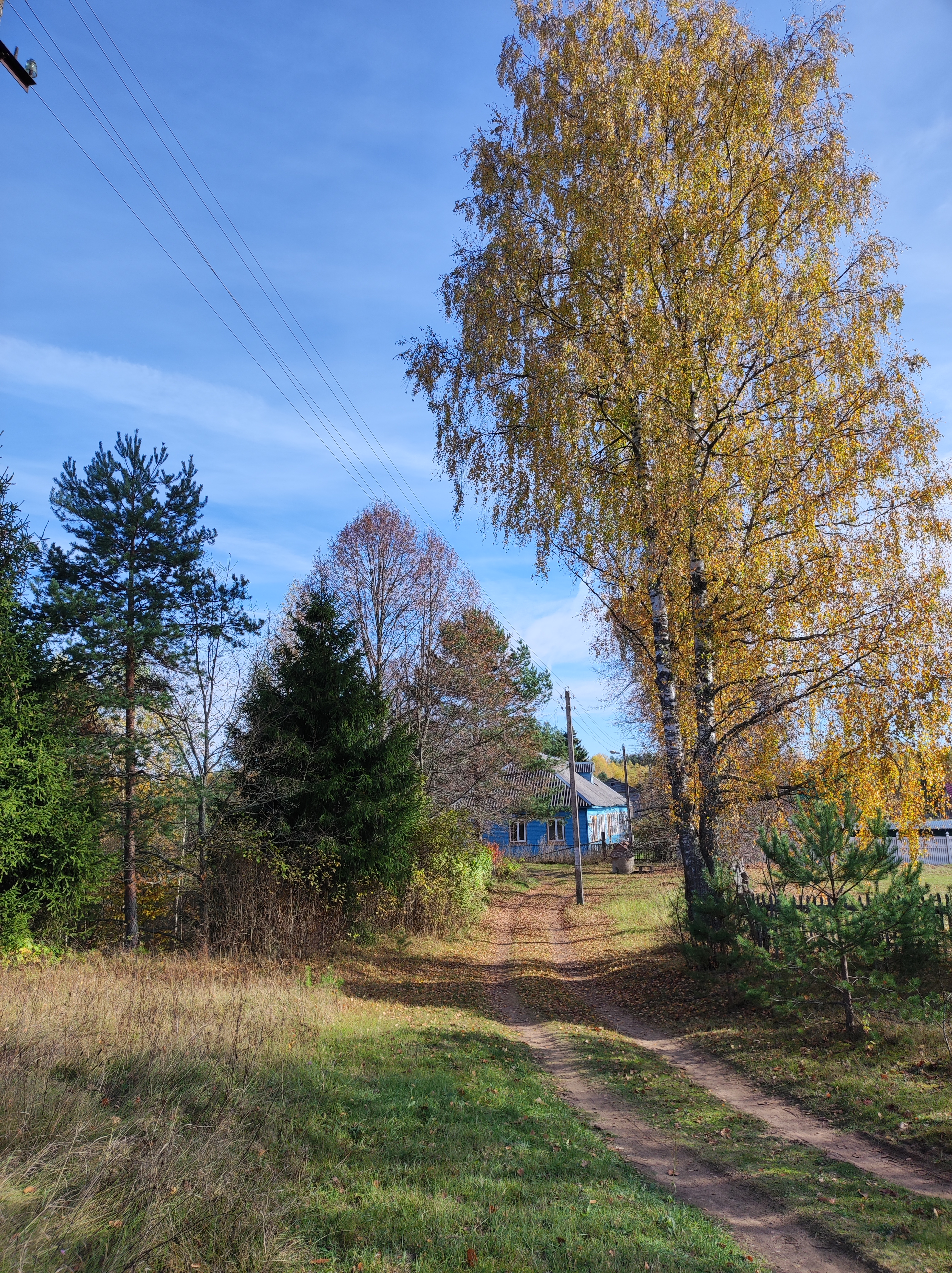 Фото Зеленьково