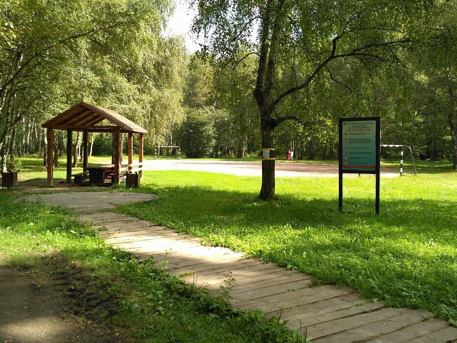 Urban forest Лесопарк Алёшкинский, Moscow, photo