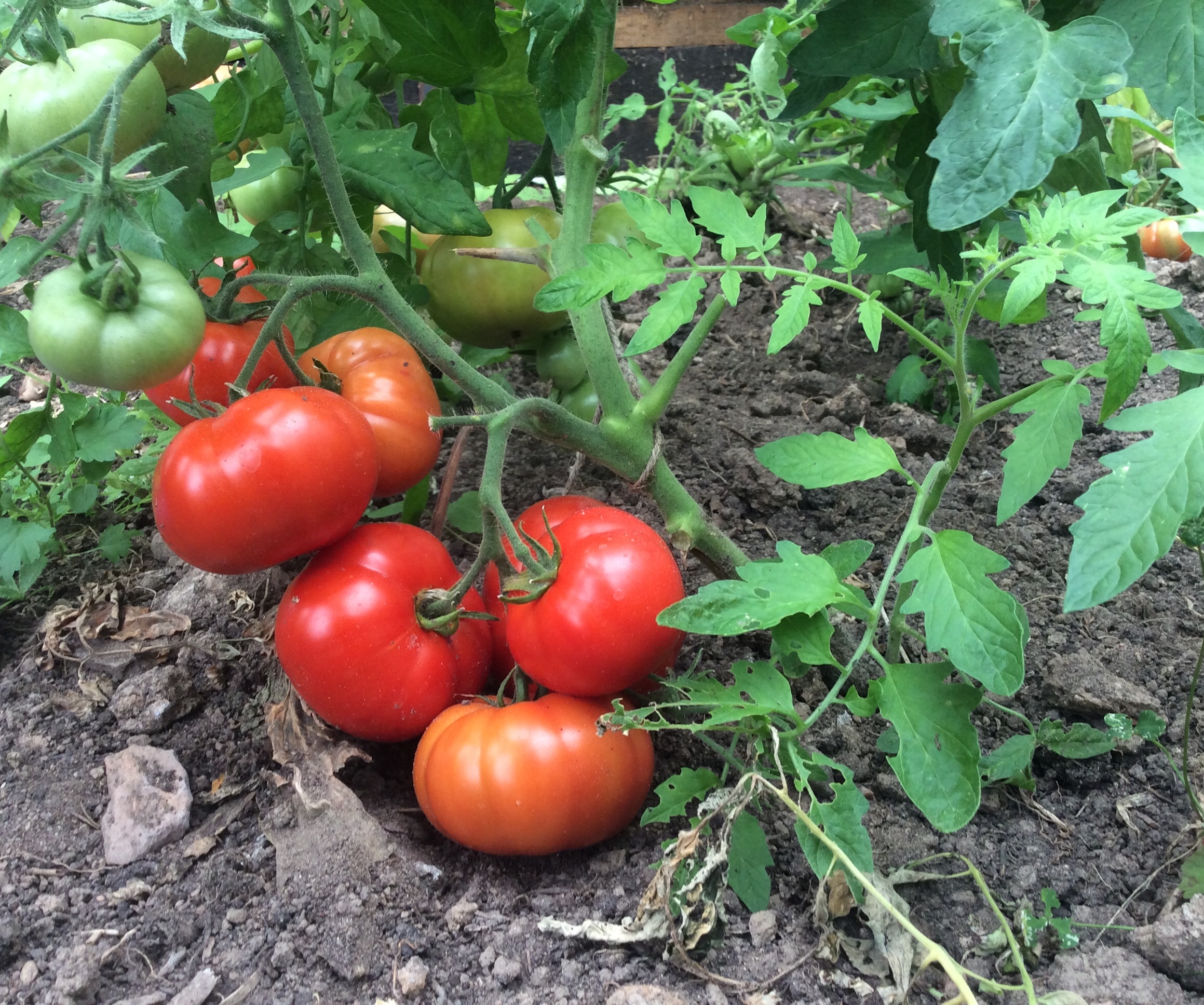 Фото Хутора на озере Але