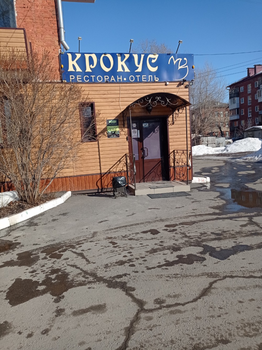 Фото Крокус