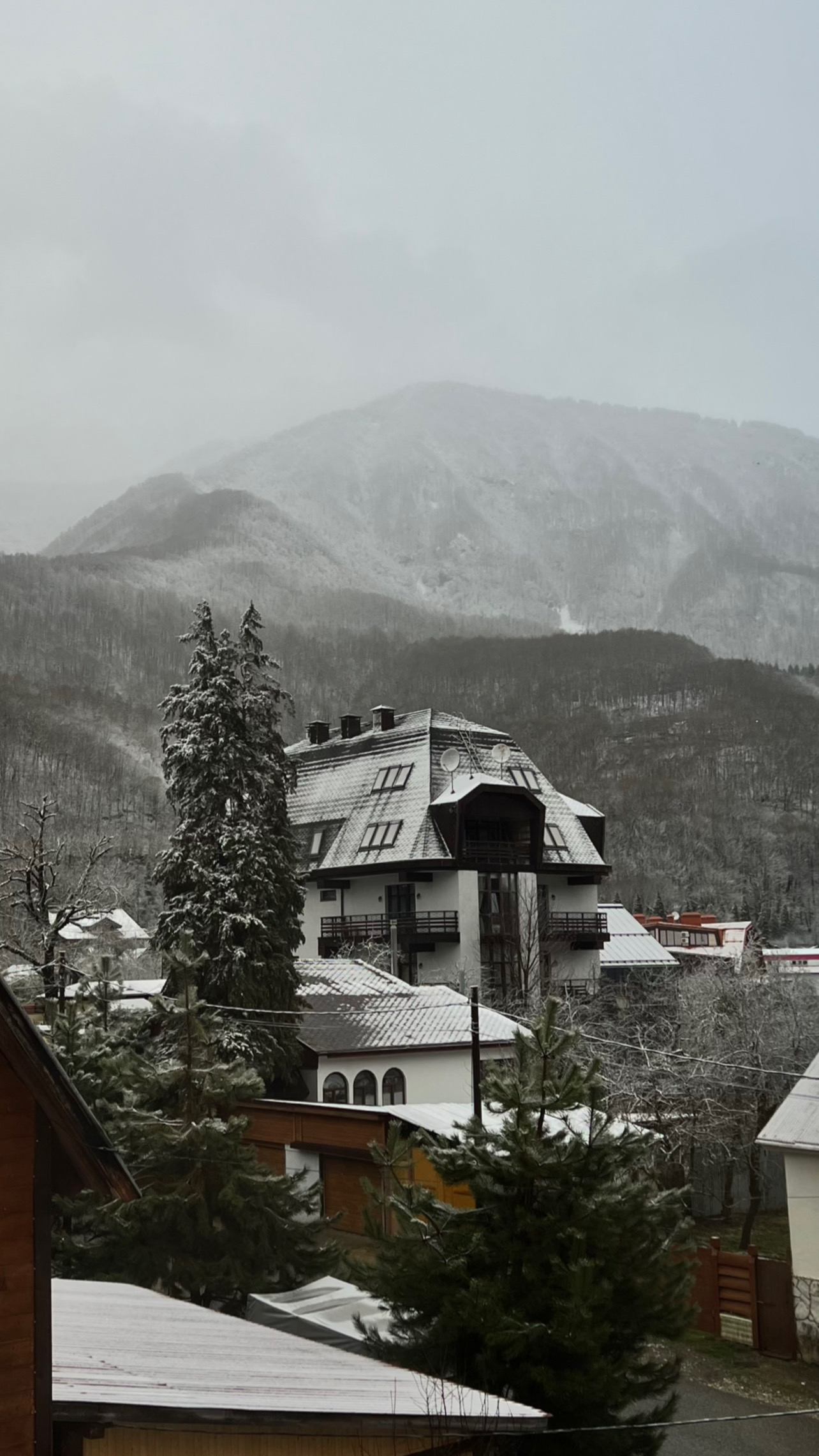 Фото Вершина