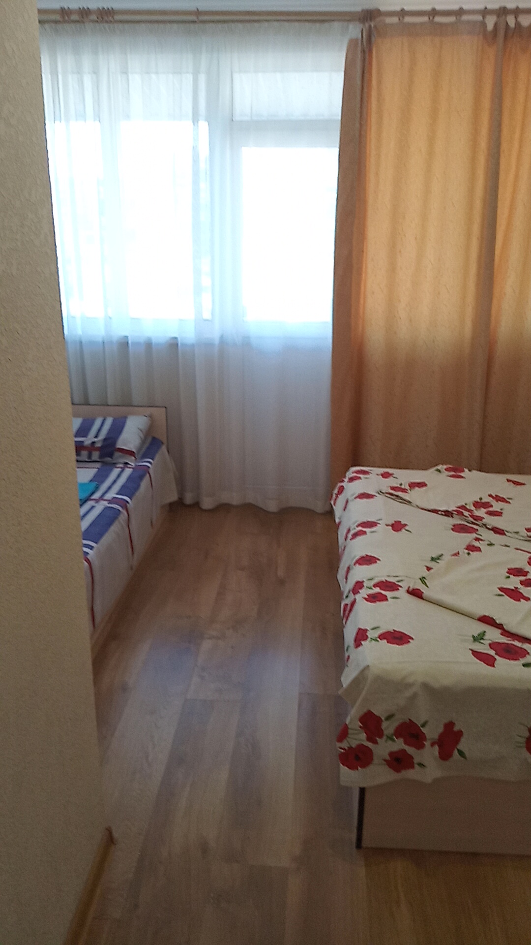 Фото Дельфин