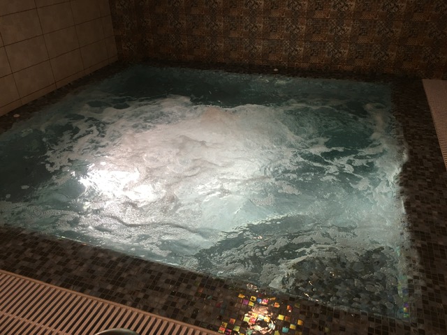 Фото Древо жизни