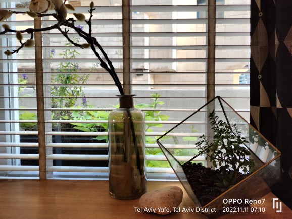 Фото Maxim Hotel