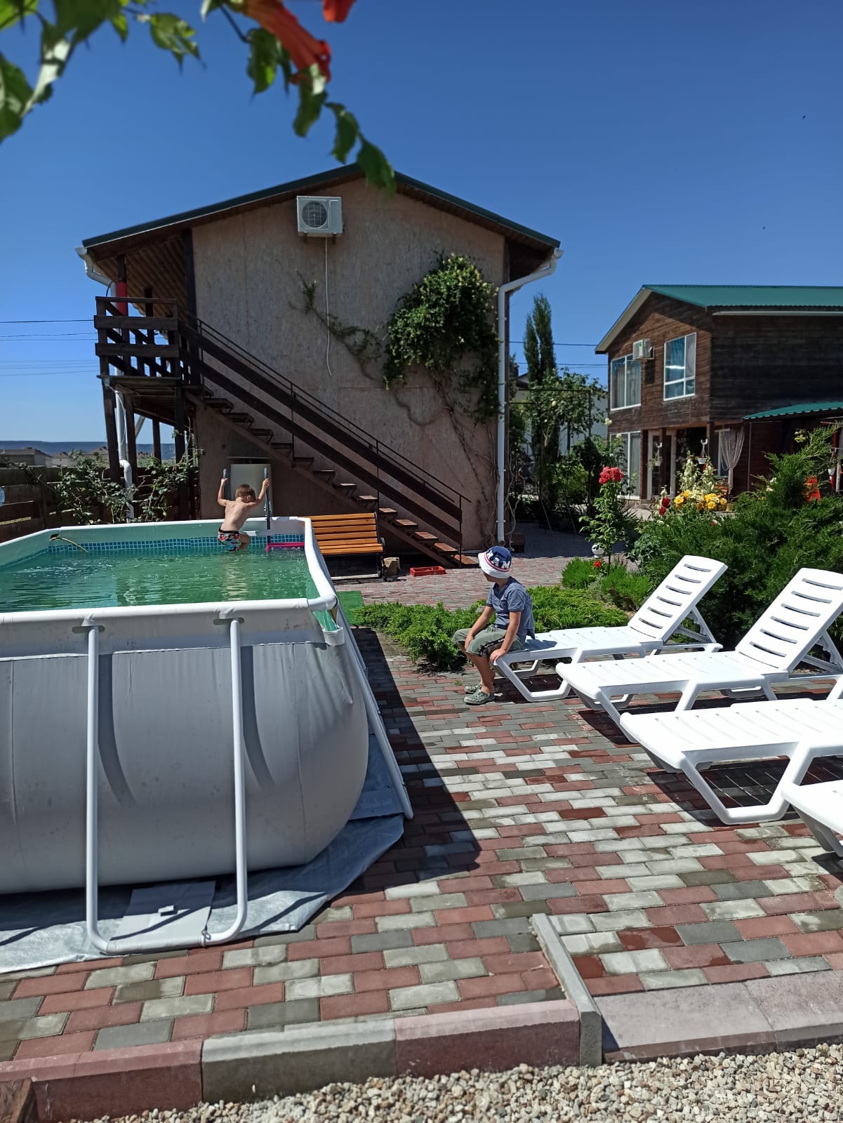 Фото Хороший гость