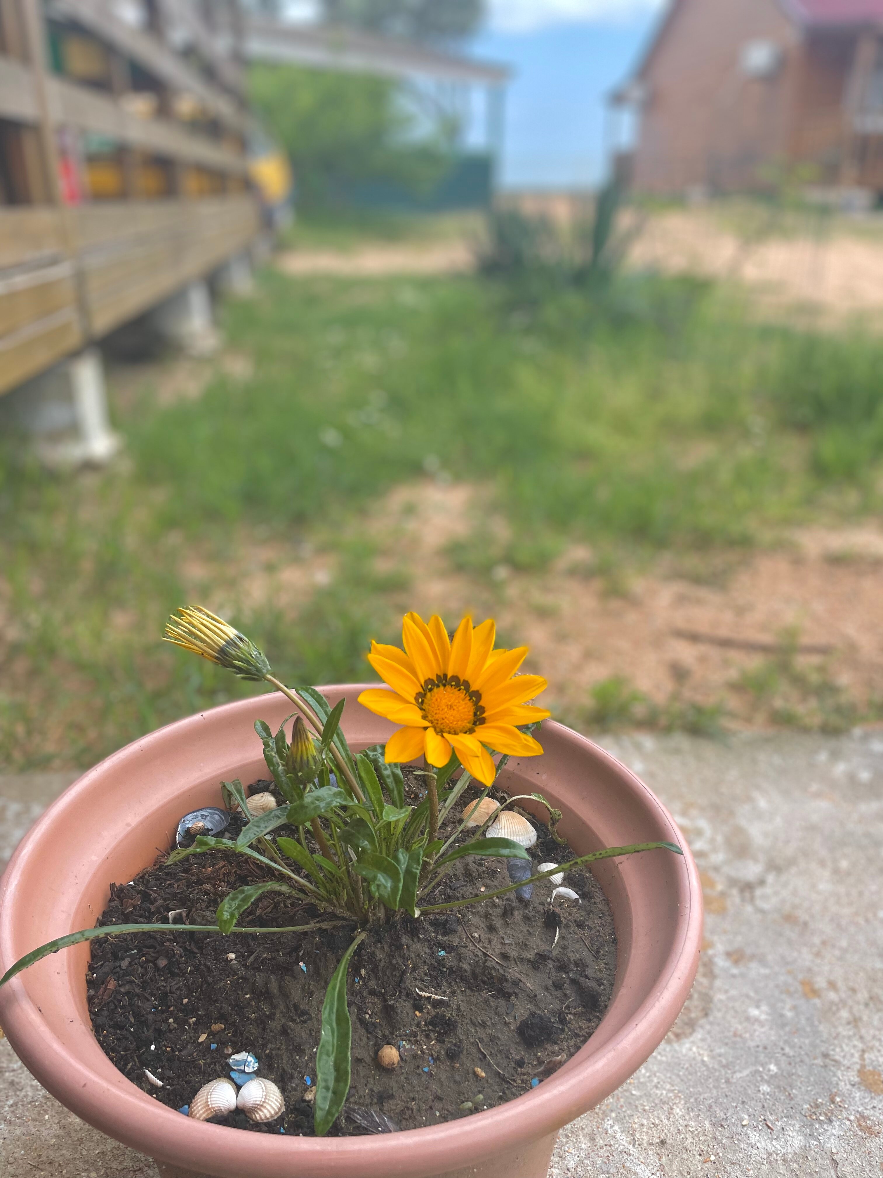 Фото У Петровича