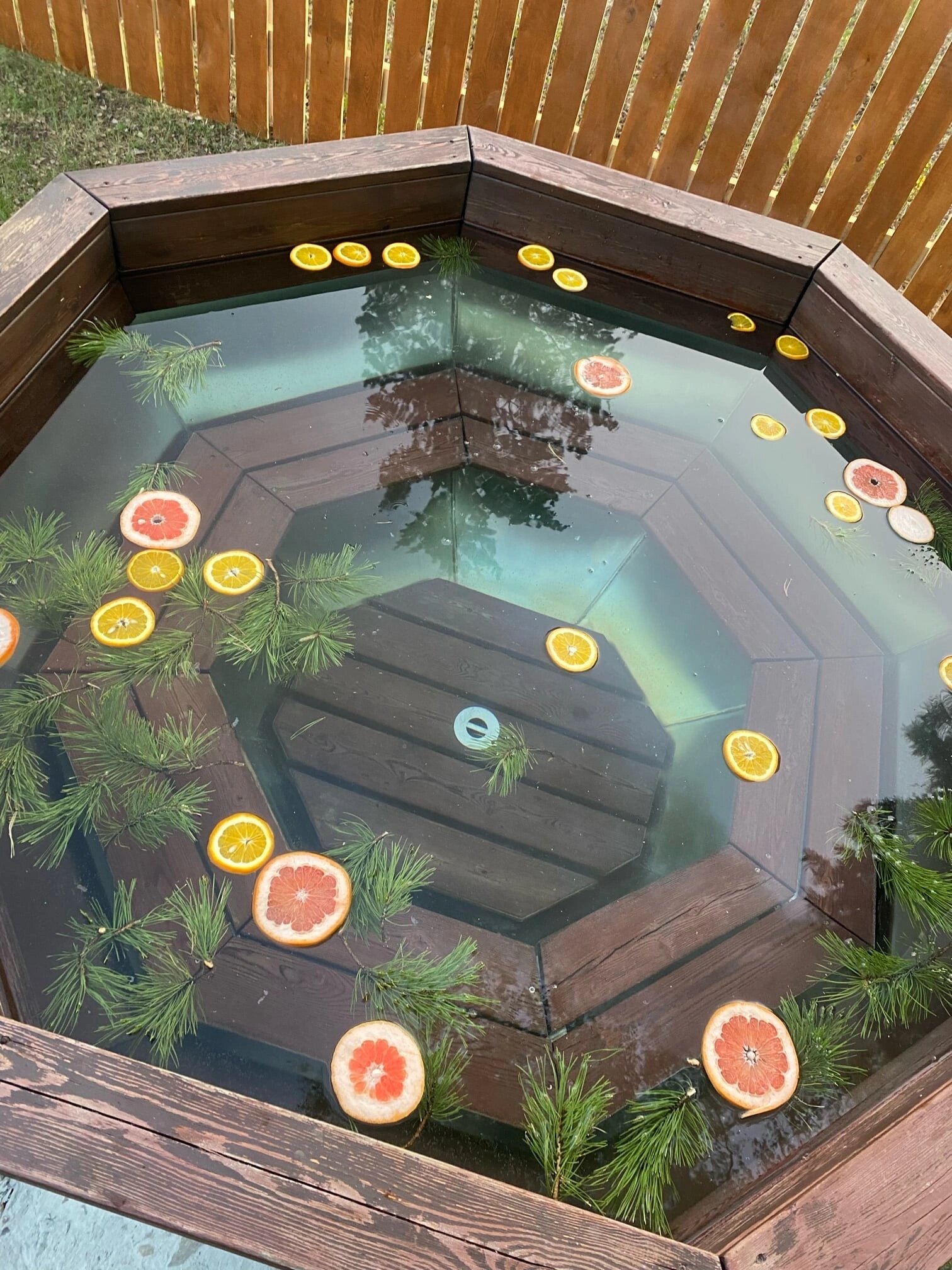 Фото Тихий Кот