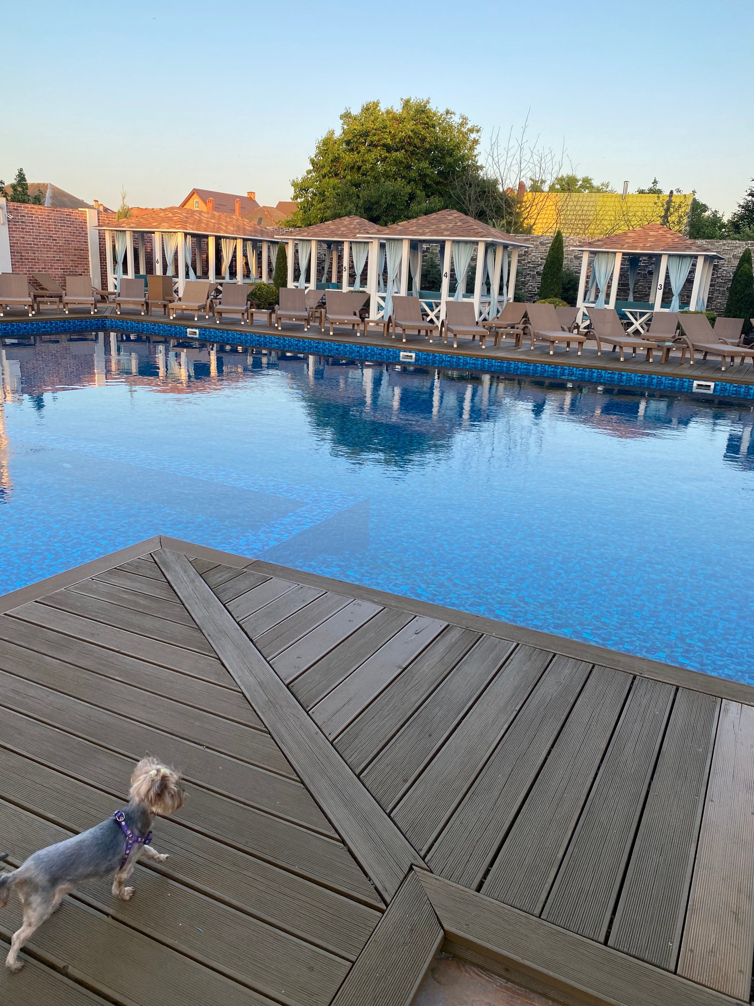 Фото 8 Авеню