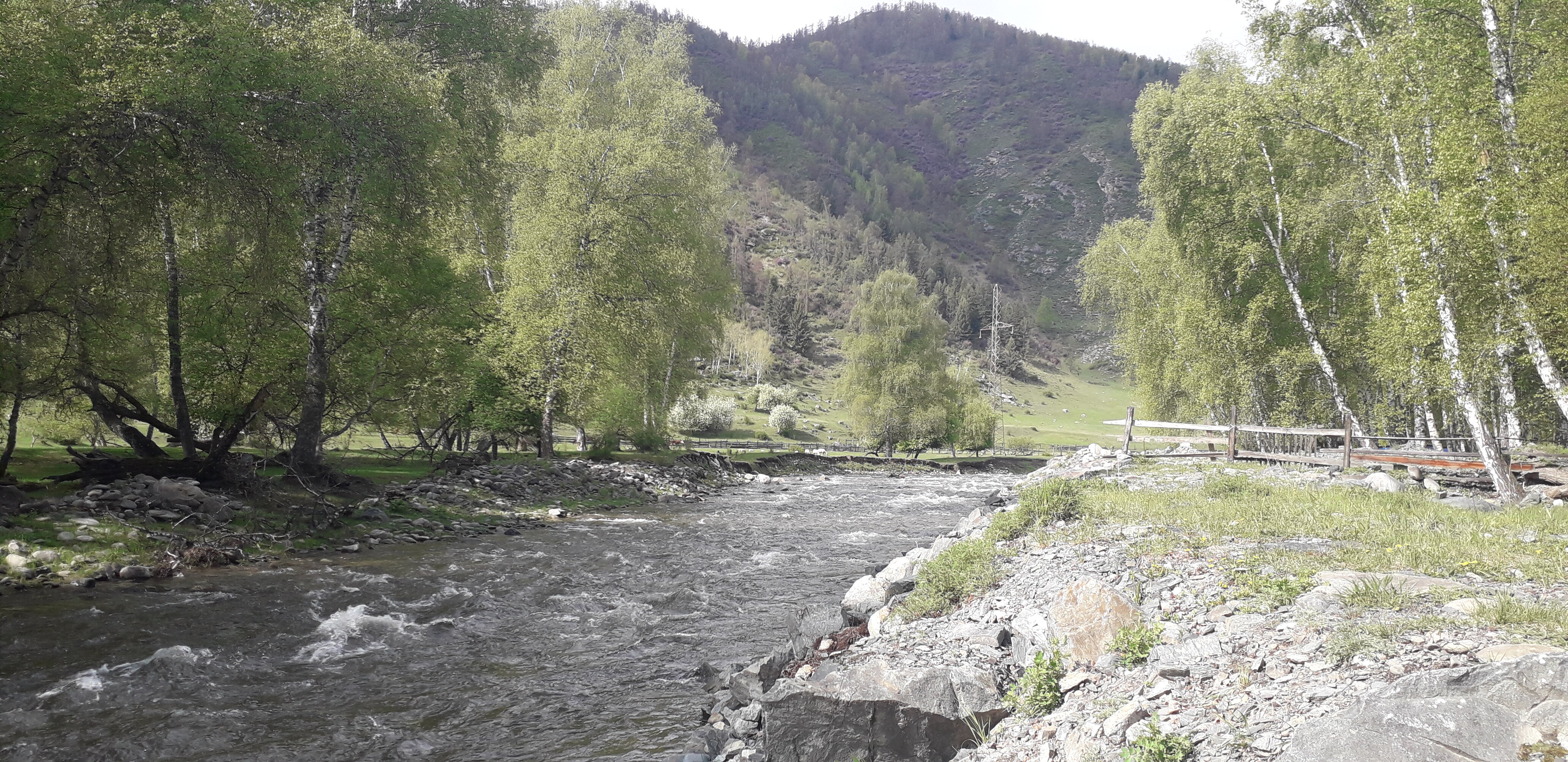 Фото Эркелей