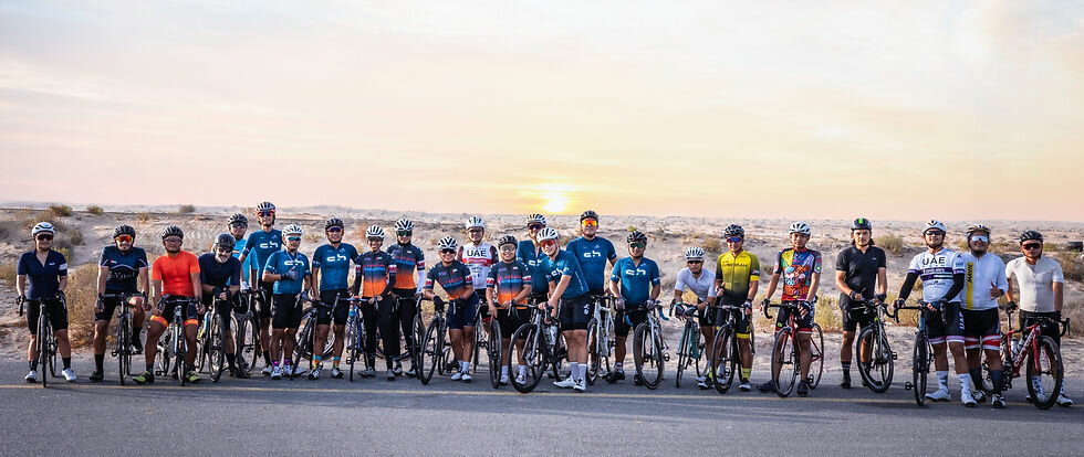 Bicycle shop The Cycle House Bicycles Trading, Dubai, photo