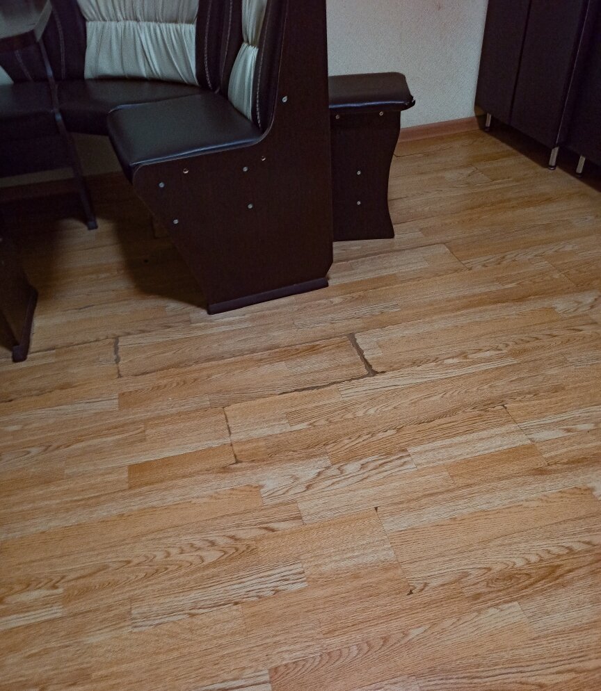 Фото Диоскурия